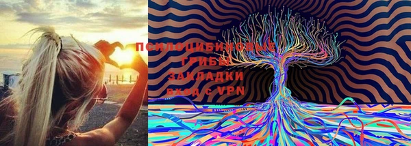 apvp Зеленодольск