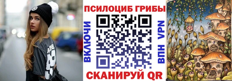 Купить где  Зеленокумск  Псилоцибиновые грибы Psilocybe 